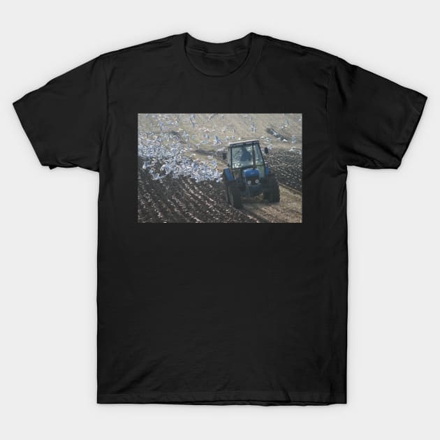 Ploughing Match T-Shirt by orcadia